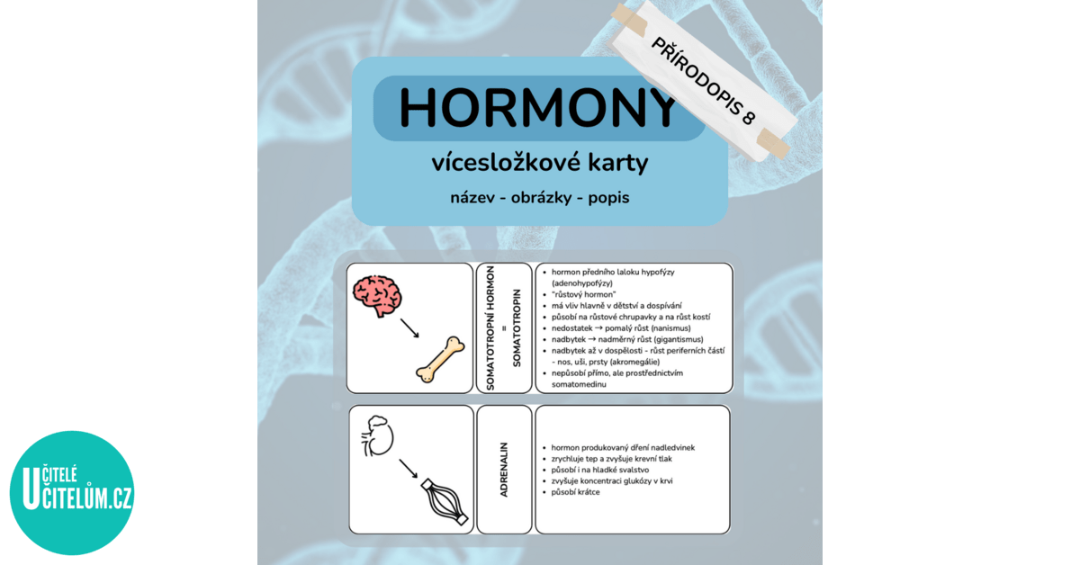 Hormony - vícesložkové karty - Biologie | UčiteléUčitelům.cz